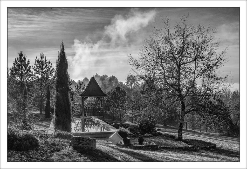 Mauzac-et-Grand-Castang Le Lion D'Or En Perigord B&B 외부 사진