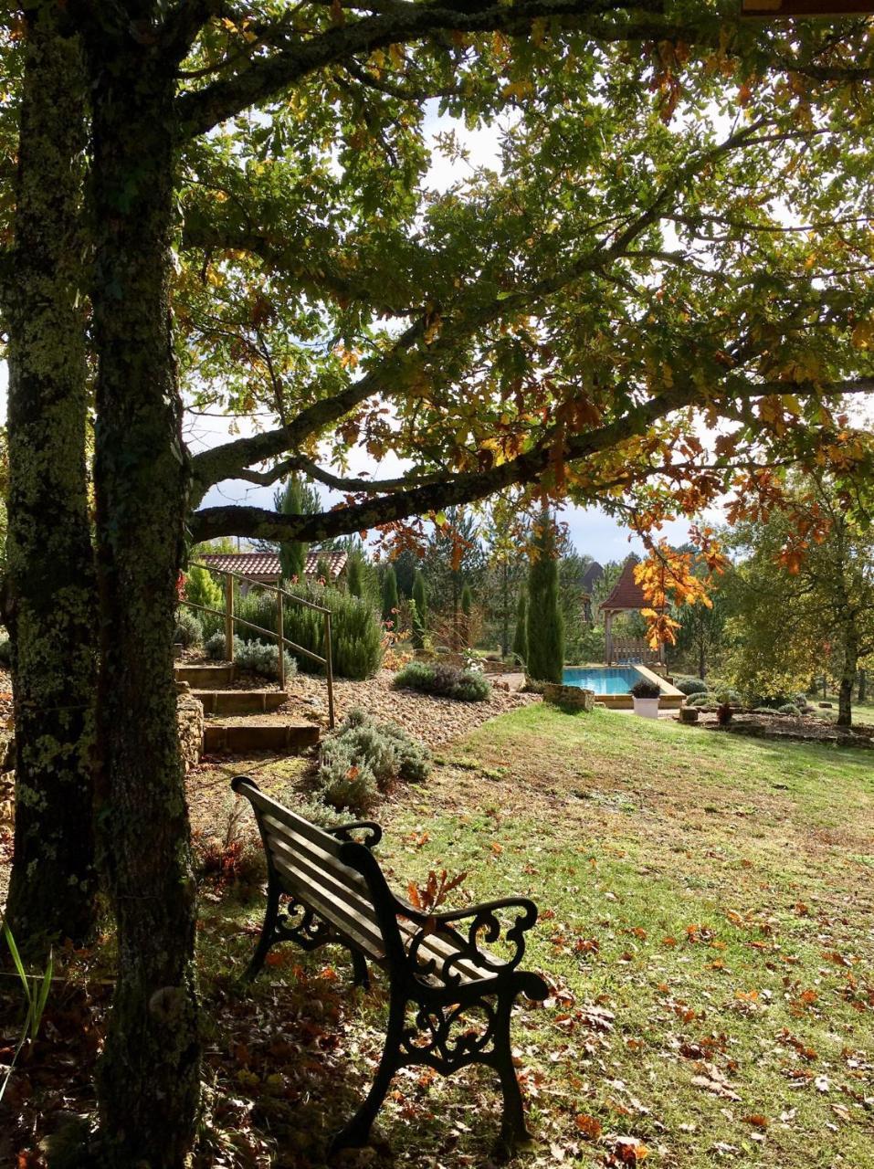 Mauzac-et-Grand-Castang Le Lion D'Or En Perigord B&B 외부 사진